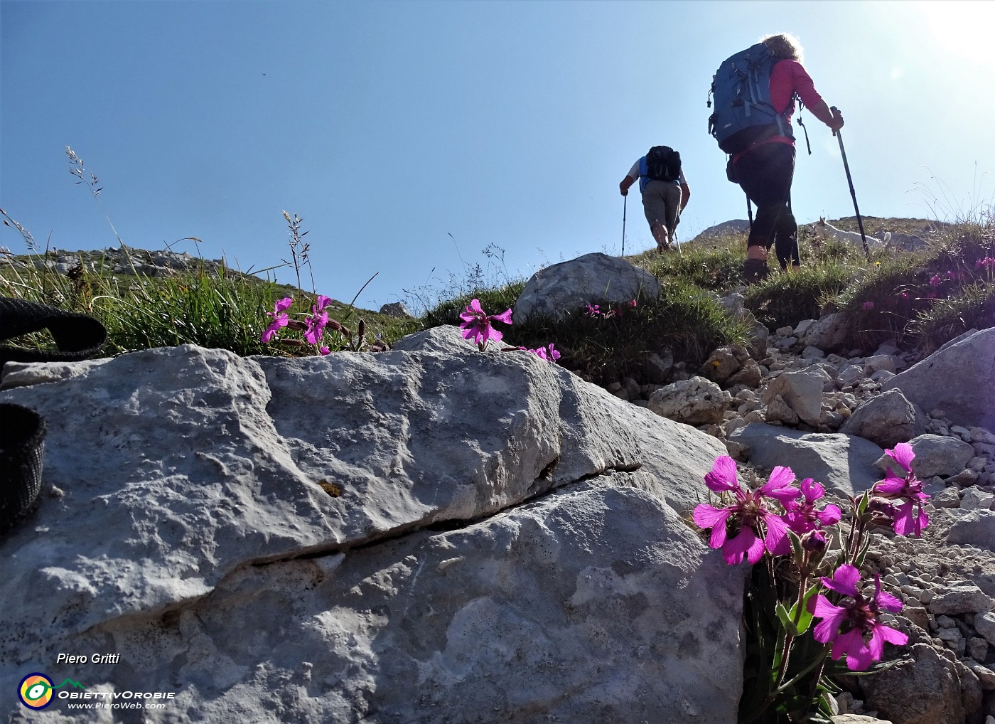 20 Lasciamo il Sentiero dei fiori e continuiamo sul 244.JPG -                                